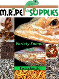 Feeder Variety Pack! - Surprise Hatchling / Baby Reptile