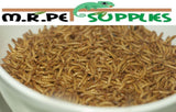 Live Mealworms - 100, 200, 300